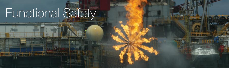 Functional Safety