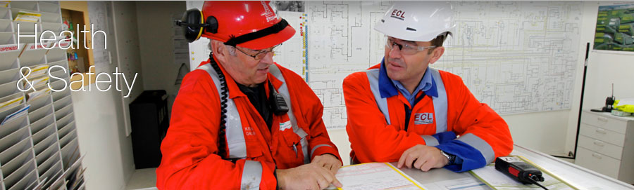 Quality, Health and Safety, and Environment